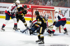 Sarnia-Sting-at-Windsor-Spitfires-October-1-2022-5