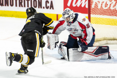 Sarnia-Sting-at-Windsor-Spitfires-October-1-2022-6
