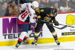 Sarnia-Sting-at-Windsor-Spitfires-October-1-2022-7