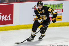 Sarnia-Sting-at-Windsor-Spitfires-October-1-2022-9