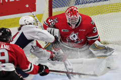 Niagara-IceDogs-at-Windsor-Spitfires-October-23-2022-12
