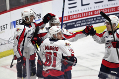 Niagara-IceDogs-at-Windsor-Spitfires-October-23-2022-15
