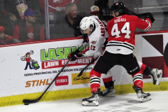Niagara-IceDogs-at-Windsor-Spitfires-October-23-2022-6