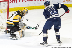 Windsor-Spitfires-vs-Brantford-Bulldogs-February-8-2025-In-Play-magazine-11