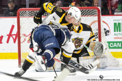 Windsor-Spitfires-vs-Brantford-Bulldogs-February-8-2025-In-Play-magazine-14