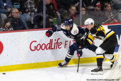 Windsor-Spitfires-vs-Brantford-Bulldogs-February-8-2025-In-Play-magazine-3