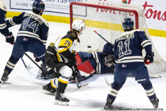 Windsor-Spitfires-vs-Brantford-Bulldogs-February-8-2025-In-Play-magazine-4