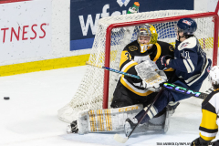 Windsor-Spitfires-vs-Brantford-Bulldogs-February-8-2025-In-Play-magazine-47