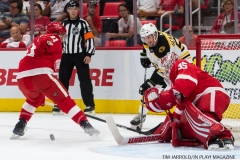 Wings vs Bruins Sept 23 2017 04