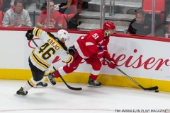 Wings vs Bruins Sept 23 2017 11