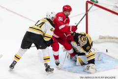 Wings vs Bruins Sept 23 2017 15