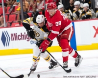 Wings vs Bruins Sept 23 2017 23