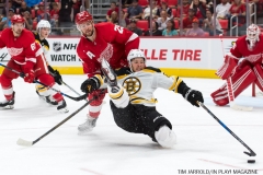 Wings vs Bruins Sept 23 2017 25