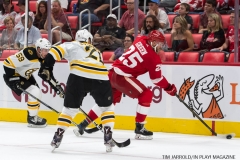 Wings vs Bruins Sept 23 2017 27