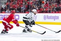 Wings vs Kings Nov 29 2017 (10)