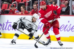Wings vs Kings Nov 29 2017 (11)