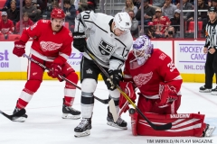 Wings vs Kings Nov 29 2017 (12)