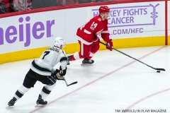 Wings vs Kings Nov 29 2017 (15)