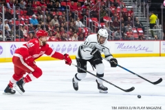 Wings vs Kings Nov 29 2017 (2)
