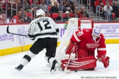 Wings vs Kings Nov 29 2017 (23)