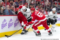 Wings vs Kings Nov 29 2017 (24)