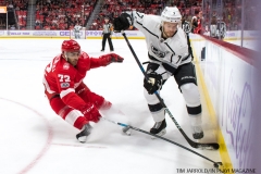 Wings vs Kings Nov 29 2017 (25)
