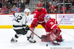 Wings vs Kings Nov 29 2017 (27)