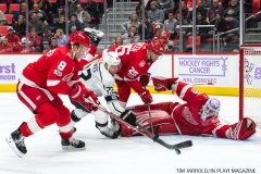 Wings vs Kings Nov 29 2017 (28)