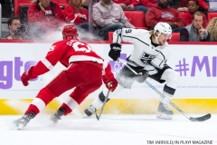 Wings vs Kings Nov 29 2017 (3)