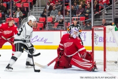Wings vs Kings Nov 29 2017 (31)