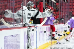 Wings vs Kings Nov 29 2017 (32)