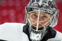 Wings vs Kings Nov 29 2017 (33)