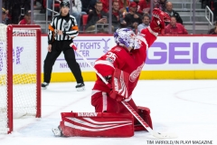 Wings vs Kings Nov 29 2017 (5)