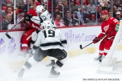 Wings vs Kings Nov 29 2017 (6)