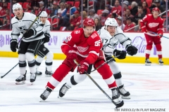 Wings vs Kings Nov 29 2017 (7)