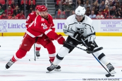 Wings vs Kings Nov 29 2017 (8)