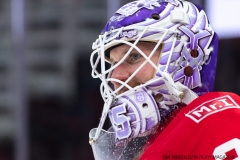 Wings vs Kings Nov 29 2017 (9)