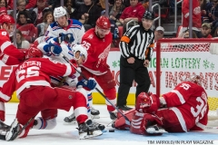 Wings vs Rangers Dec 29 2017 (11)