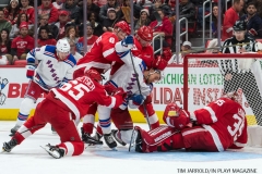 Wings vs Rangers Dec 29 2017 (12)