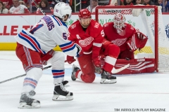 Wings vs Rangers Dec 29 2017 (13)