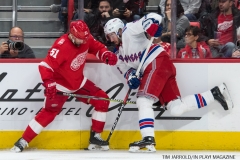 Wings vs Rangers Dec 29 2017 (14)