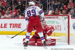 Wings vs Rangers Dec 29 2017 (15)