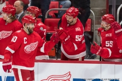 Wings vs Rangers Dec 29 2017 (16)