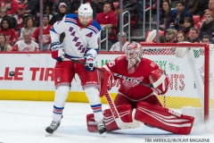 Wings vs Rangers Dec 29 2017 (17)