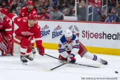Wings vs Rangers Dec 29 2017 (19)