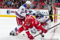 Wings vs Rangers Dec 29 2017 (23)