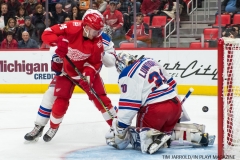 Wings vs Rangers Dec 29 2017 (24)
