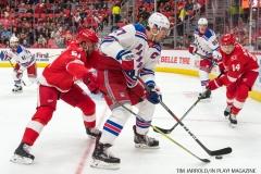 Wings vs Rangers Dec 29 2017 (25)