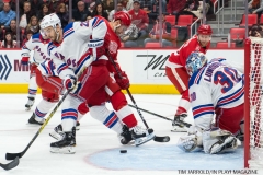 Wings vs Rangers Dec 29 2017 (27)