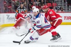 Wings vs Rangers Dec 29 2017 (3)